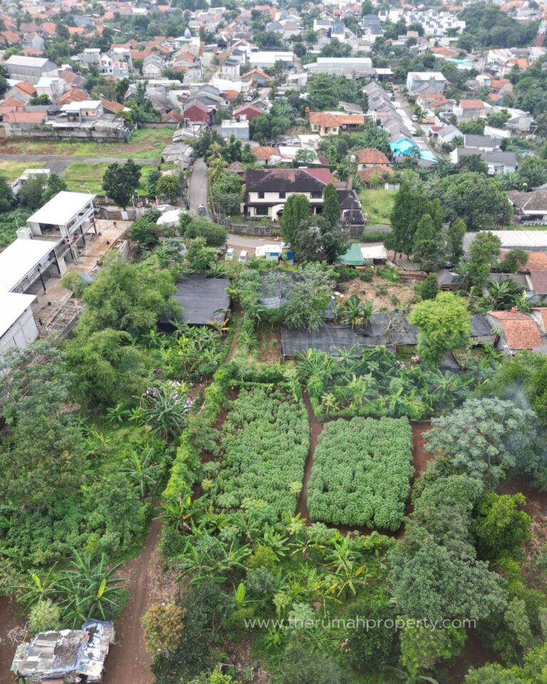Tanah Cinangka Pondok Cabe