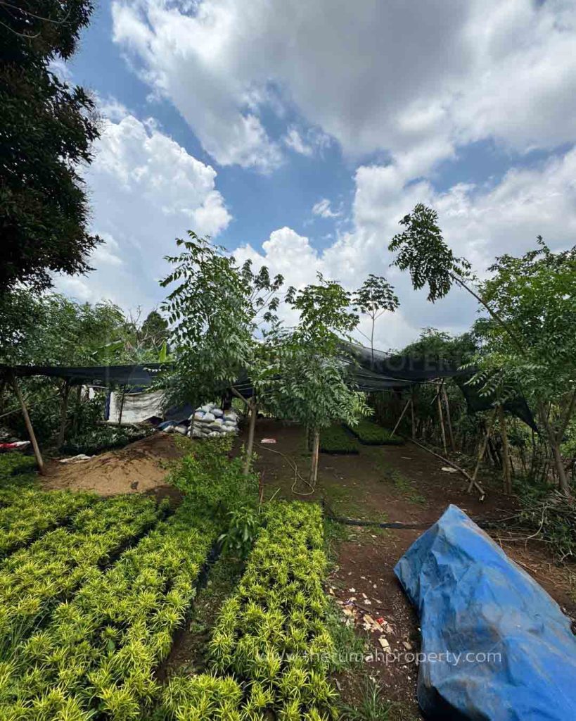 Dijual-Tanah-Luas-Cinangka-Pondok-Cabe-Cocok-Untuk-Bangun-Townhouse-atau-Mini-Cluster-10