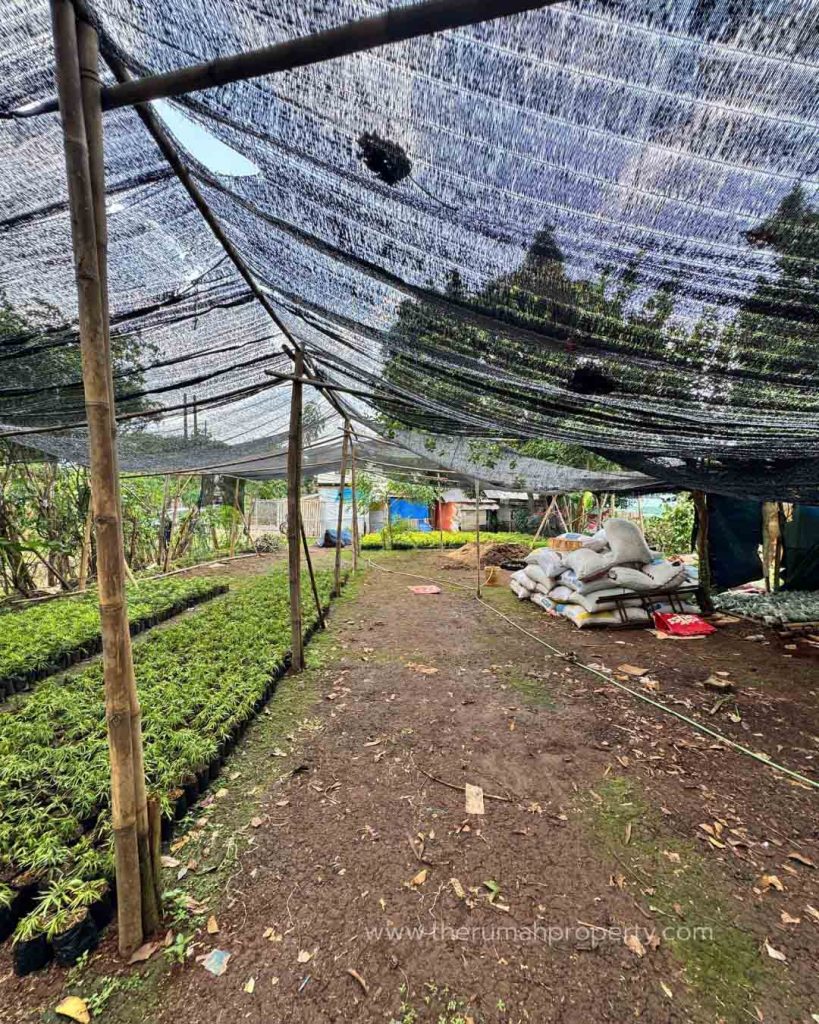 Dijual-Tanah-Luas-Cinangka-Pondok-Cabe-Cocok-Untuk-Bangun-Townhouse-atau-Mini-Cluster-11