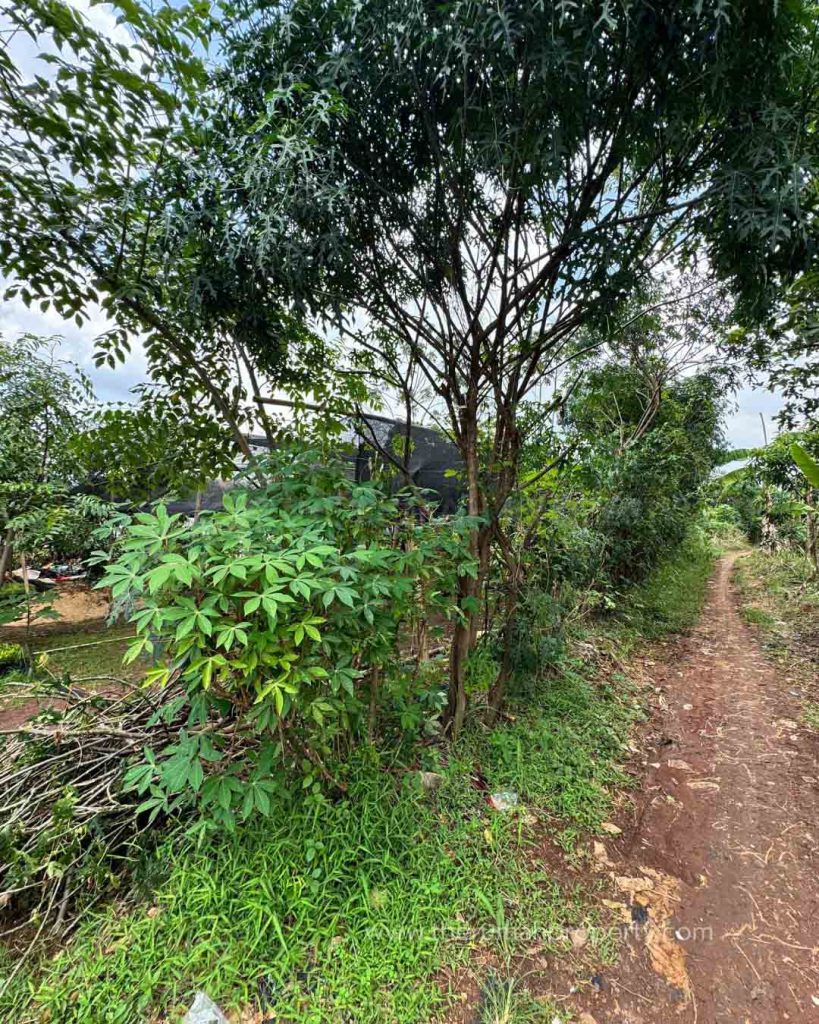 Dijual-Tanah-Luas-Cinangka-Pondok-Cabe-Cocok-Untuk-Bangun-Townhouse-atau-Mini-Cluster-8