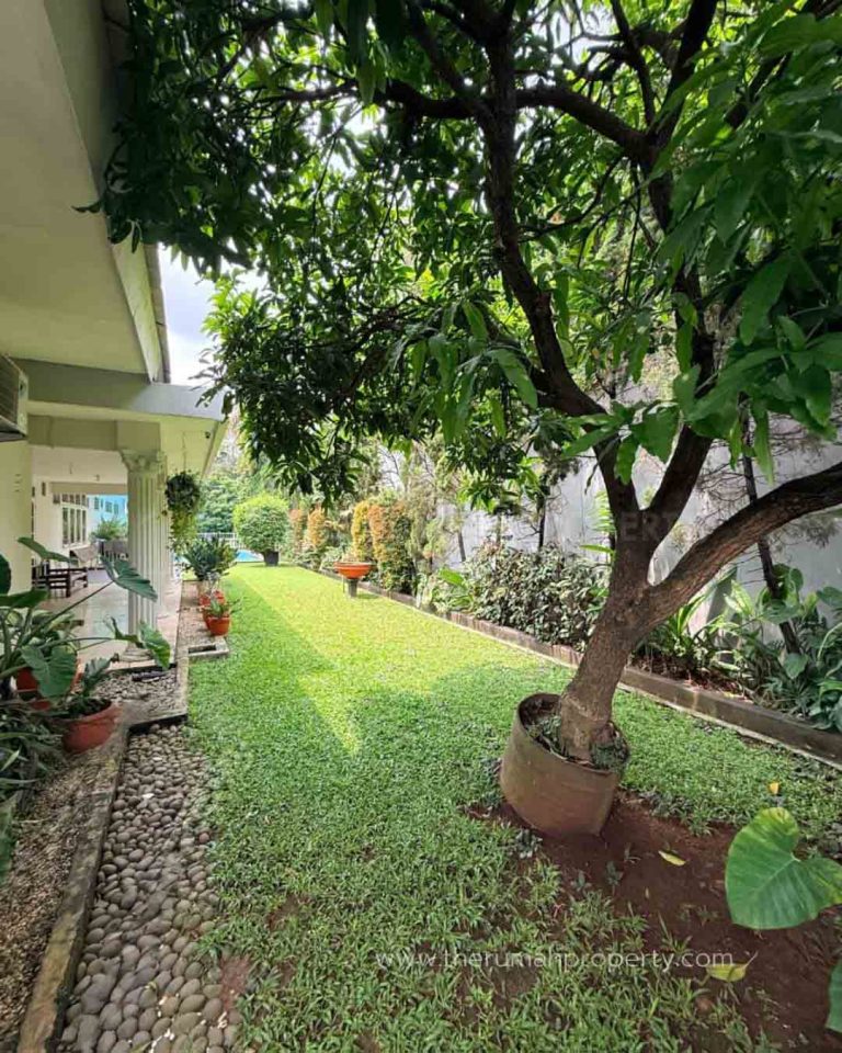 Jual Rumah 1 Lantai Dalam Komplek di Kemang Jakarta Lingkungan Tenang