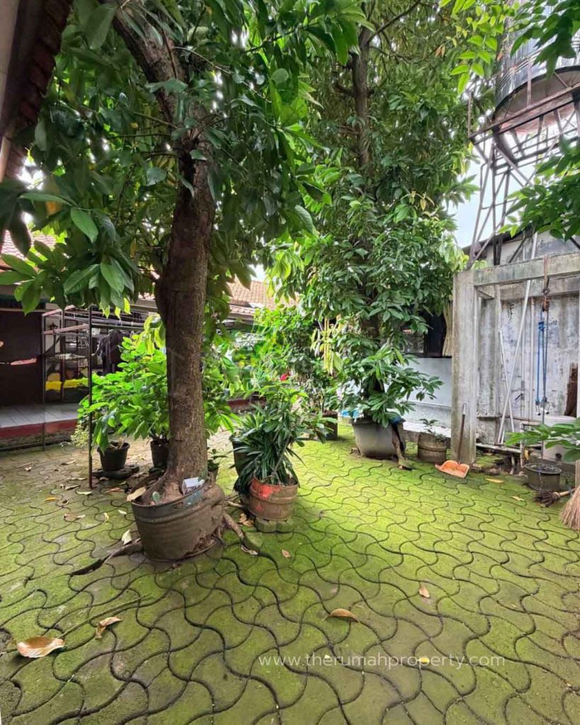 Rumah-Tanah-Kusir-Kebayoran-Lama-Jaksel-Hanya-Hitung-Tanah-Saja-3