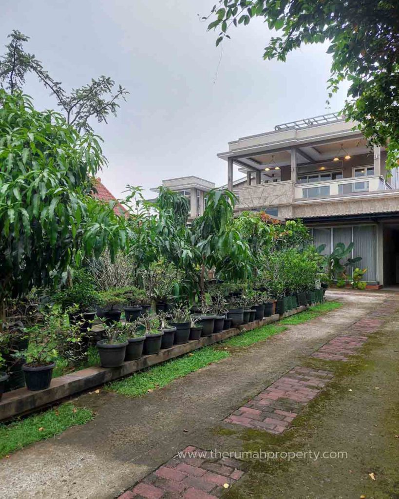Rumah-Tanah-Luas-Dekat-Cimanggis-Emeralda-Golf-Ada-Kolam-Ikan-Koi-Halaman-Luas-11