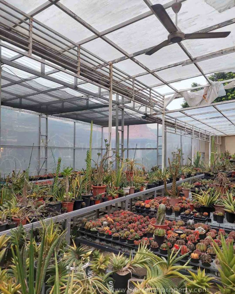 Rumah-Tanah-Luas-Dekat-Cimanggis-Emeralda-Golf-Ada-Kolam-Ikan-Koi-Halaman-Luas-15