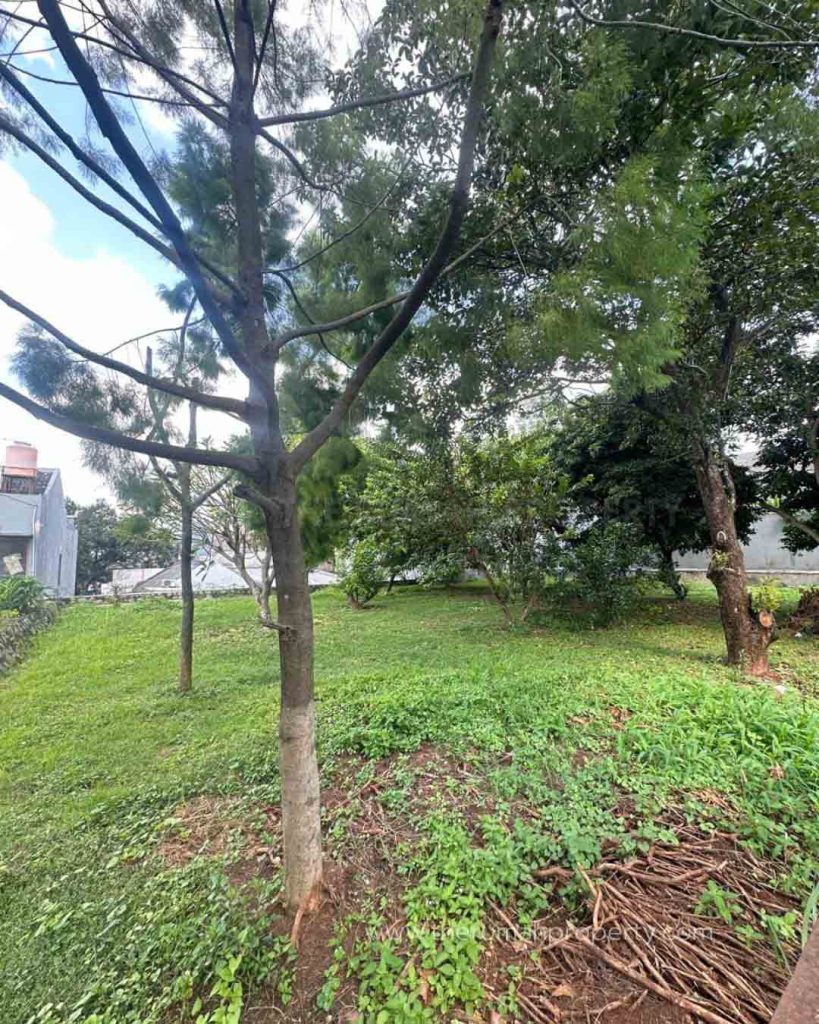 Tanah-Dijual-Cilandak-Jaksel-Belakang-Citos-Luas-599-Meter-5