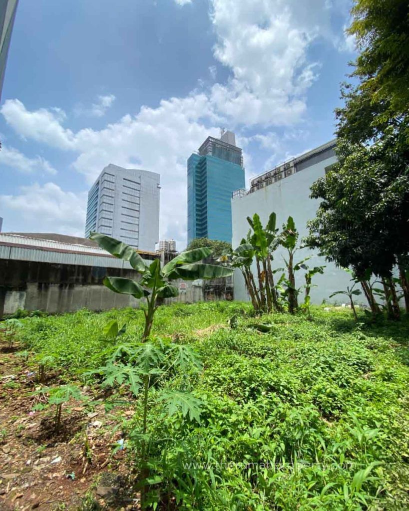 Tanah-Harga-Murah-Bawah-NJOP-Mega-Kuningan-Jakarta-Selatan-Dalam-Komplek-9
