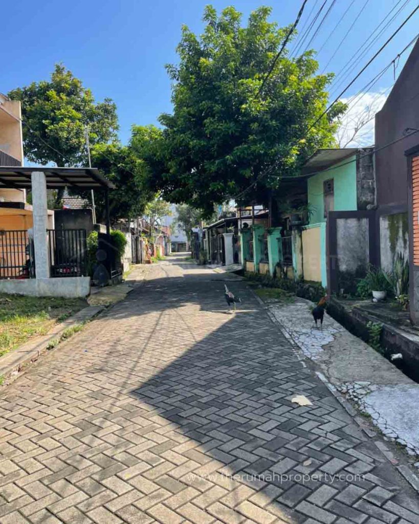 Jual-Tanah-Kavling-Murah-Pondok-cabe-Cinangka-Tersedia-Hanya-2-Unit-1