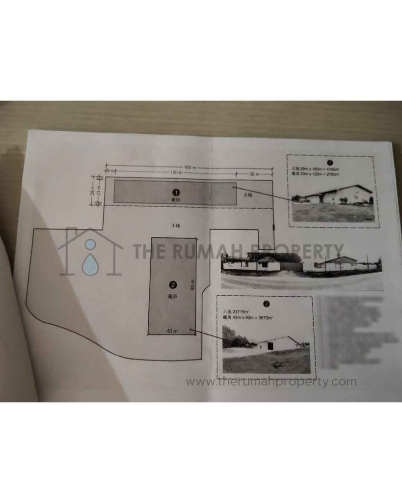 Pabrik-Dijual-di-Rangkas-Bitung-Dijual-Tanah-Luas-Jalan-Lebar-6