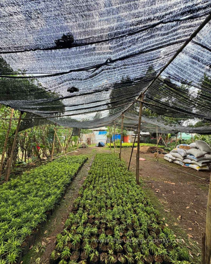 Tanah-Dijual-di-Pondok-Cabe-Cinangka-Tanah-Luas-Pinggir-Jalan-Cocok-Untuk-Berbagai-Usaha-11