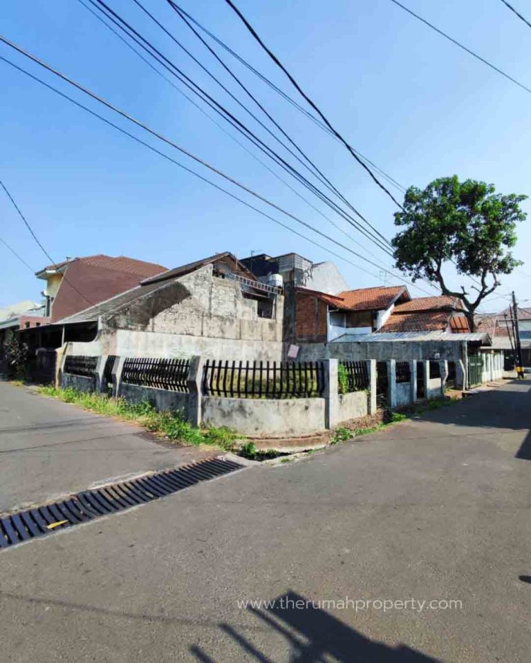 BAMBU APUS 1,7 M Dimas Juni 26 - 4