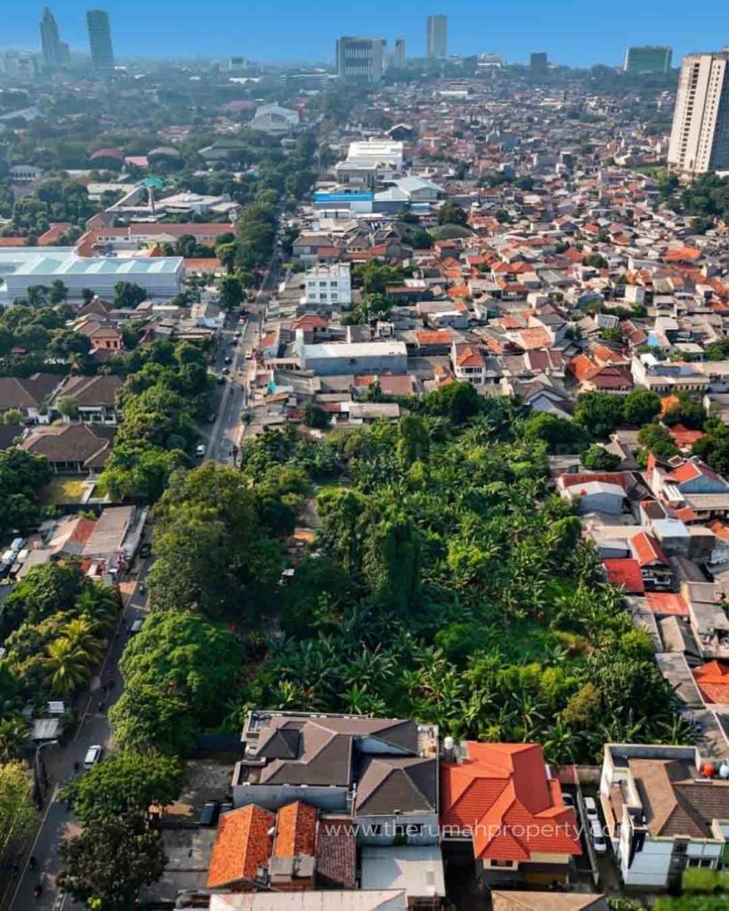 Tanah-Luas-Dijual-Cilandak-KKO-Jakarta-Selatan-Lokasi-Pinggir-Jalan-4