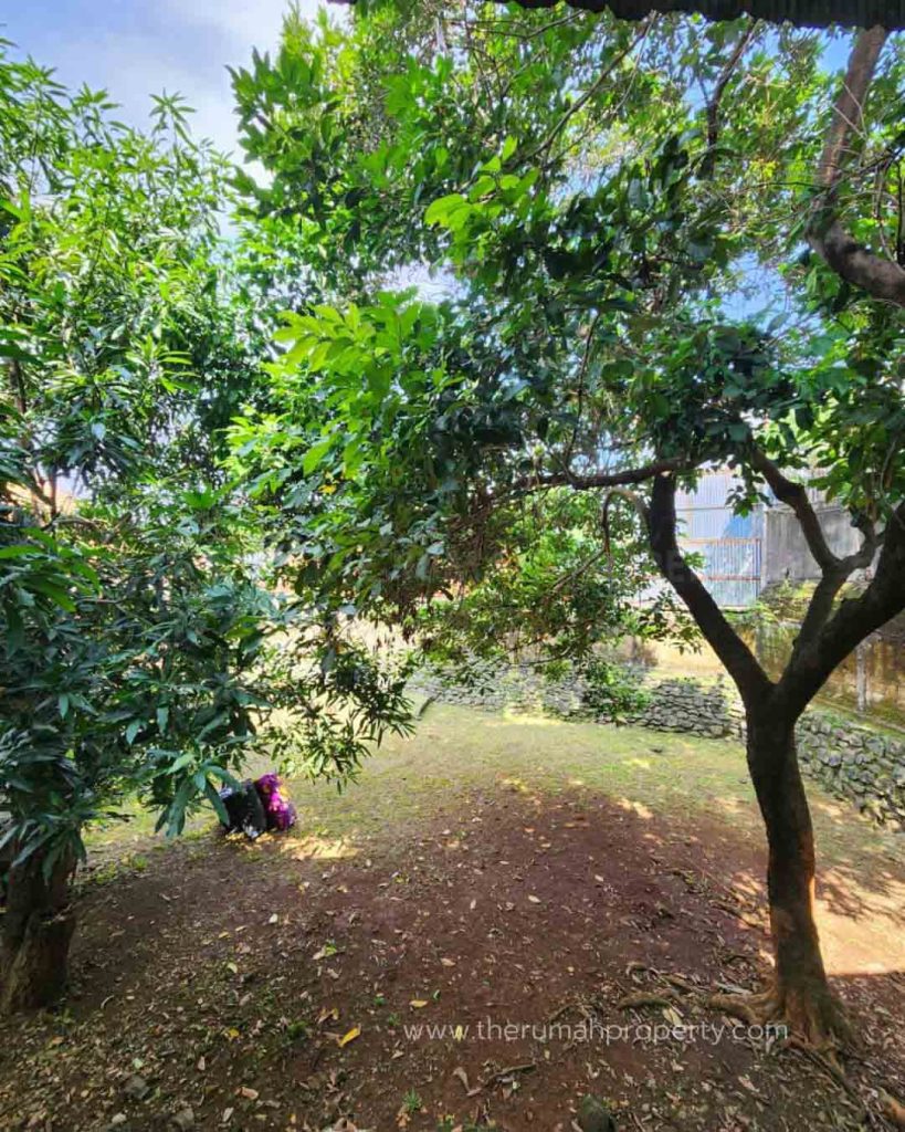 Rumah-Dijual-Harga-Dibawah-NJOP-di-Pejaten-Jakarta-Selatan-10
