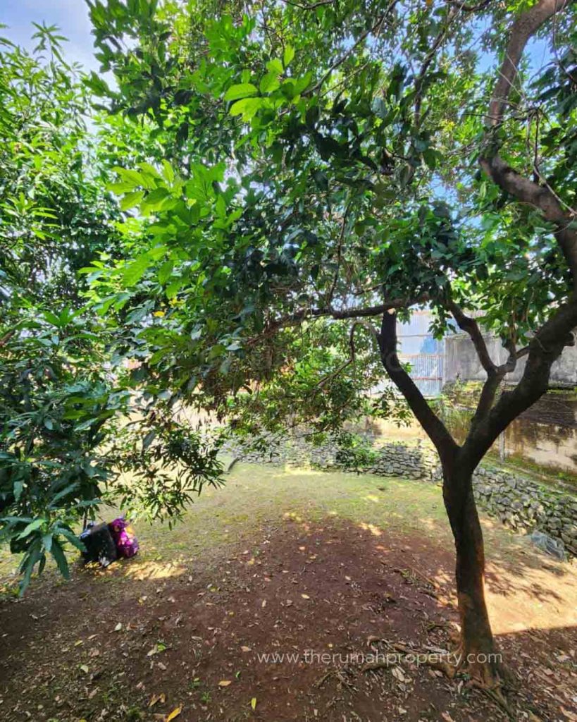 Rumah-Dijual-Harga-Dibawah-NJOP-di-Pejaten-Jakarta-Selatan-9
