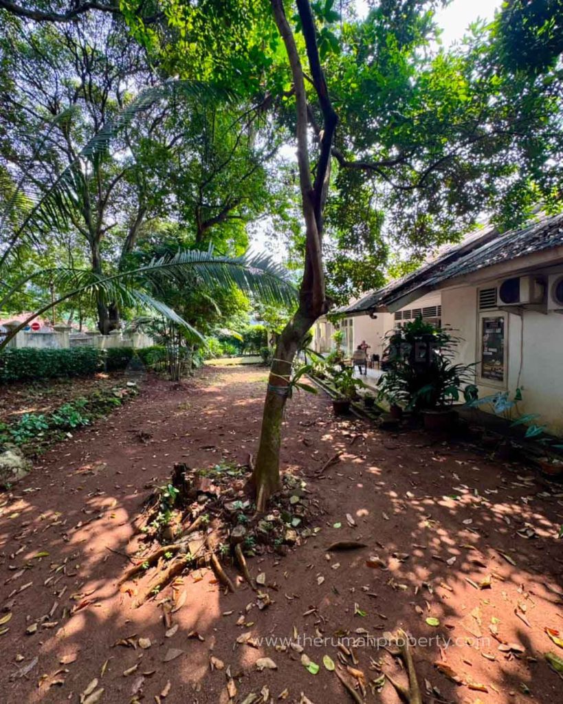 Rumah-Lama-Cilandak-Jakarta-Selatan-Posisi-Hook-Cocok-Untuk-Komersial-6