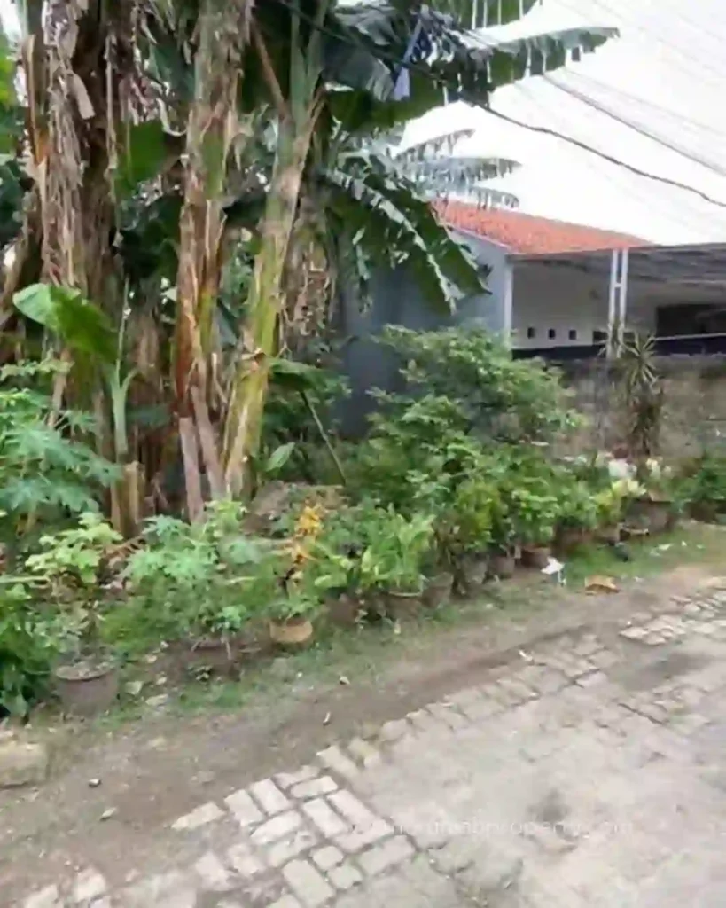 Tanah SHM Dijual di Jalan Sadar Jagakarsa Jakarta Selatan (5)