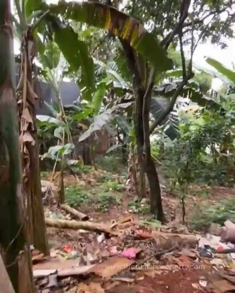 Tanah SHM Dijual di Jalan Sadar Jagakarsa Jakarta Selatan (6)