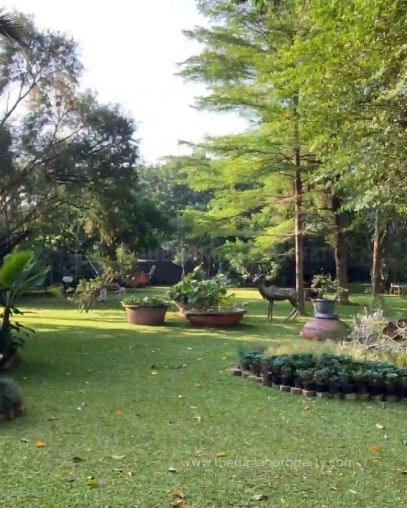Rumah Private Pool Tanah Luas Layaknya Resort di Cilandak Jakarta Selatan (3)