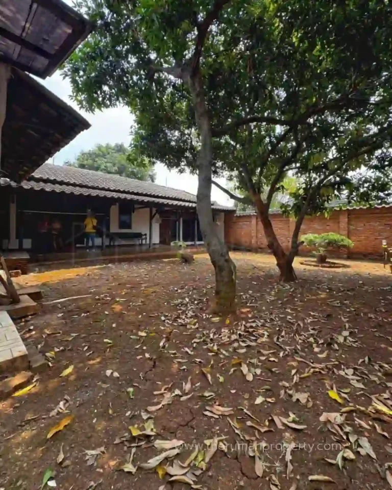 For Sale Rumah Andara Raya Jalan Lebar Cocok Untuk Komersil (3)