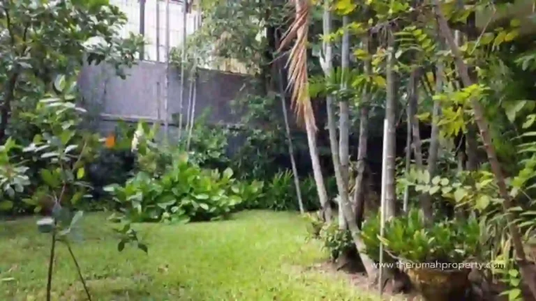 Jual Rumah Cempaka Putih Jakpus Bisa Untuk Kantor atau Usaha (5)