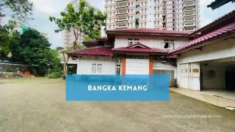 Jual Rumah Harga Jauh dibawah NJOP di Bangka Kemang Luas Tanah 1.420 Meter (1)
