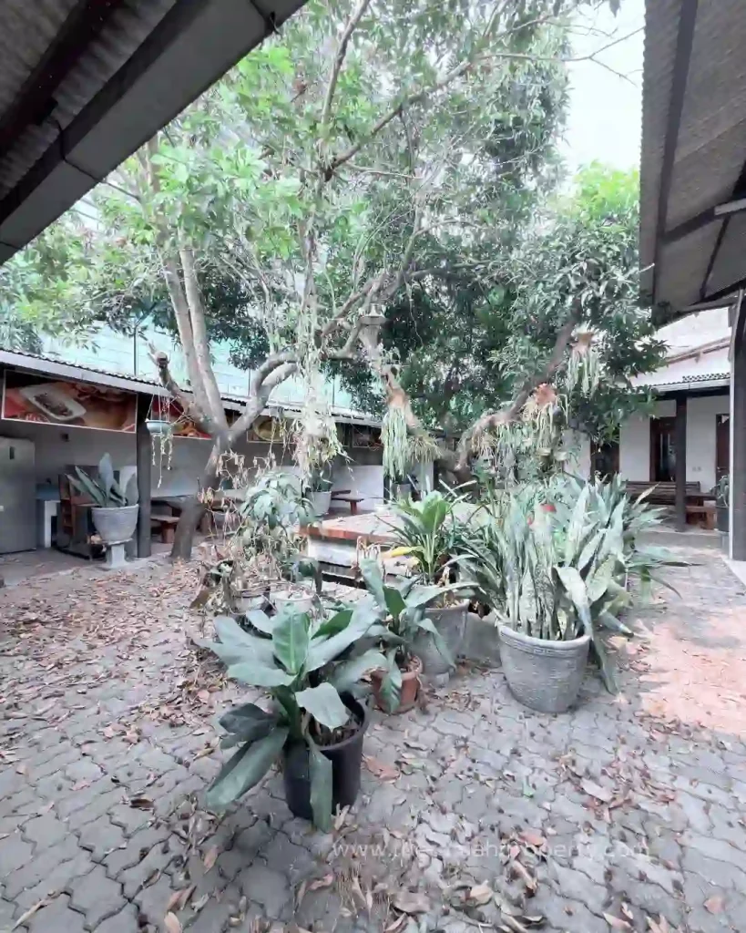 Resto dijual di Ragunan Jakarta Selatan Lokasi Strategis di Pinggir Jalan Raya (8)