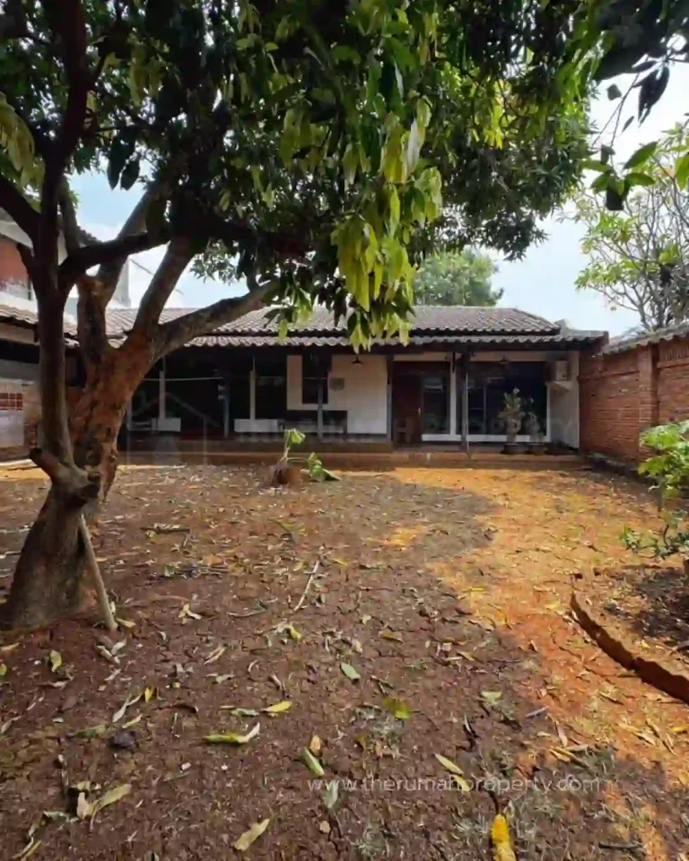 Rumah 1 Lantai Andara Dapat Dijadikan Berbagai Tempat Usaha Sesuai Kebutuhan (6)