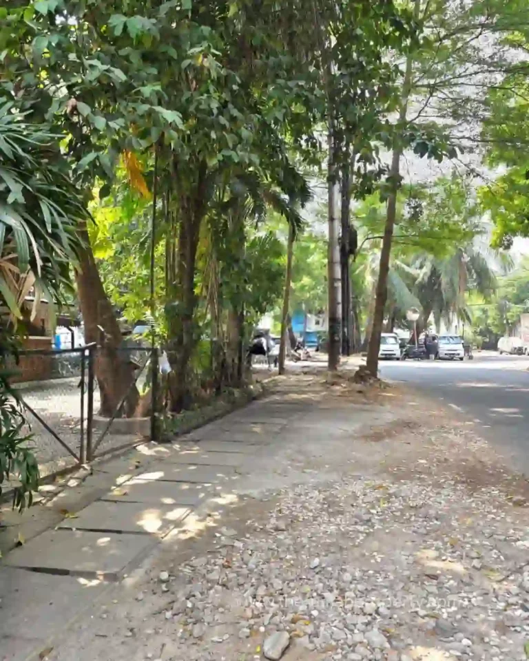 Rumah Tua dijual Tanah 461 Meter di Kebayoran baru Lokasi Premium dan Jalan Lebar (3)